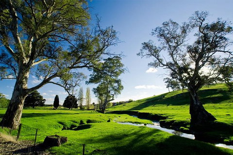 Adelaide Highlights And Hahndorf Tour With Optional River Cruise - Accommodation VIC 0