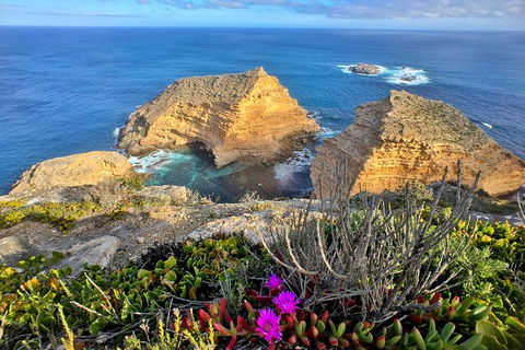 One Day Port Lincoln Tour - Tasting Eyre - Accommodation VIC 1