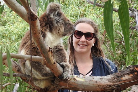 One Day Port Lincoln Tour - Tasting Eyre - Accommodation VIC 0