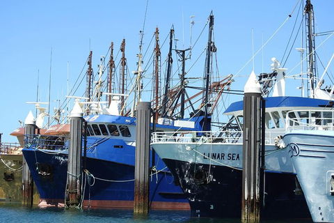 One Day Port Lincoln Tour - Tasting Eyre - Accommodation VIC 8