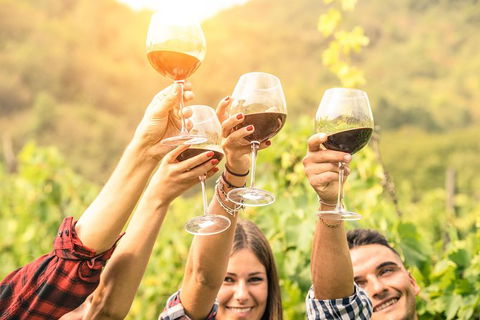 Adelaide Hills Day Tour. Winery Cellar Doors - Accommodation VIC 6