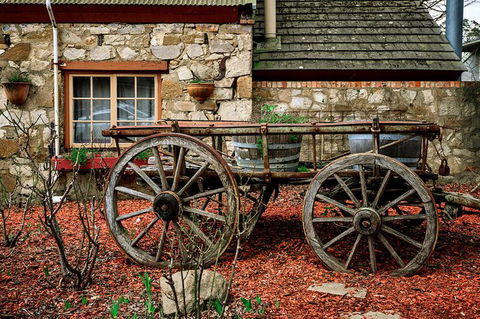 Adelaide Hills Tour With River Murray 3 Hour Lunch Cruise - Accommodation VIC 7