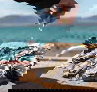 Experience Coffin Bay Oyster Farm and Bay Tour - Accommodation VIC