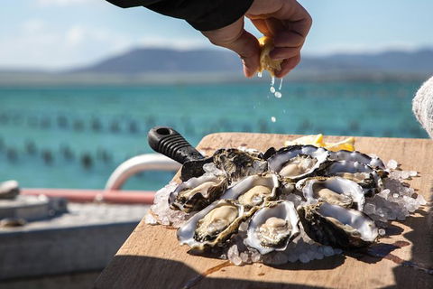 Experience Coffin Bay Oyster Farm And Bay Tour - Accommodation VIC 0