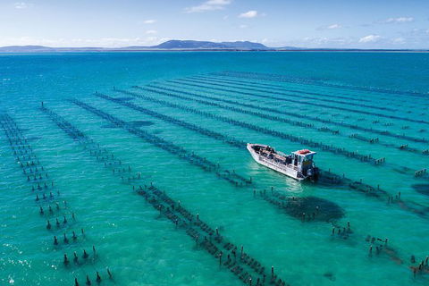 Experience Coffin Bay Oyster Farm And Bay Tour - Accommodation VIC 1