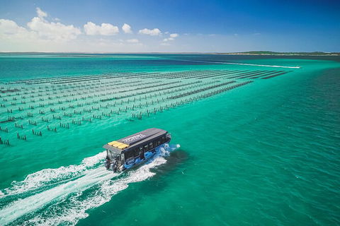 Experience Coffin Bay Oyster Farm And Bay Tour - Accommodation VIC 2
