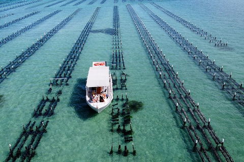 Experience Coffin Bay Oyster Farm And Bay Tour - Accommodation VIC 8