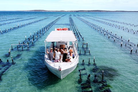 Experience Coffin Bay Oyster Farm And Bay Tour - Accommodation VIC 12