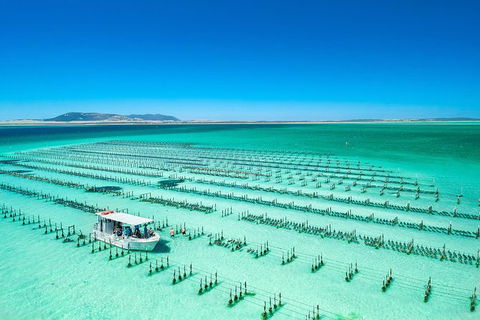 Experience Coffin Bay Oyster Farm And Bay Tour - Accommodation VIC 7