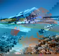 3-Day Southern Great Barrier Reef Tour Including Lady Musgrave Island - Accommodation VIC