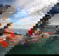 Moreton Island Day Trip Kayak Snorkel  Sandboard frm Brisbane or Gold Coast - Accommodation VIC