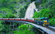Full-Day Tour With Kuranda Scenic Railway, Skyrail Rainforest Cableway, And Hartley's Crocodile Adventures From Cairns - thumb 0