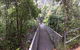 Cape Tribulation, Mossman Gorge, And Daintree Rainforest Day Trip From Cairns Or Port Douglas - thumb 4