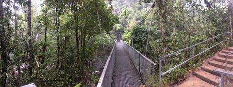 Cape Tribulation, Mossman Gorge, And Daintree Rainforest Day Trip From Cairns Or Port Douglas - Accommodation VIC 4