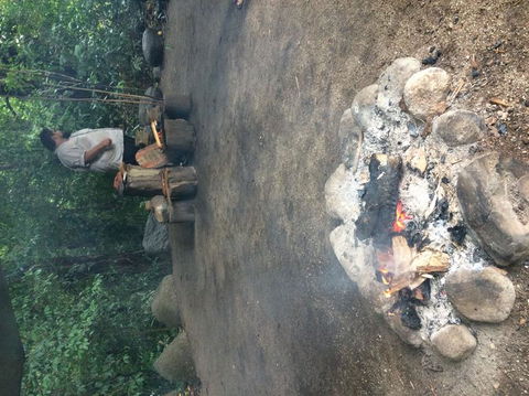 Cape Tribulation, Mossman Gorge, And Daintree Rainforest Day Trip From Cairns Or Port Douglas - Accommodation VIC 6