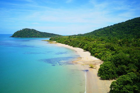 Cape Tribulation, Mossman Gorge, And Daintree Rainforest Day Trip From Cairns Or Port Douglas - Accommodation VIC 10