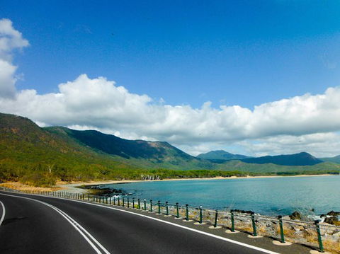 Cape Tribulation, Mossman Gorge, And Daintree Rainforest Day Trip From Cairns Or Port Douglas - Accommodation VIC 11