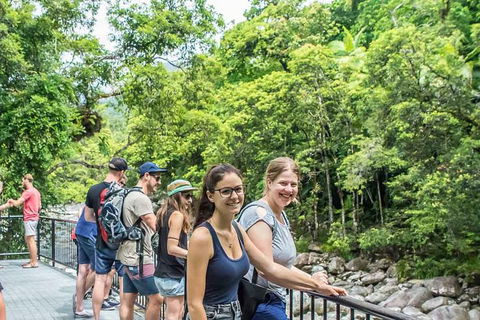 Cape Tribulation, Mossman Gorge, And Daintree Rainforest Day Trip From Cairns Or Port Douglas - Accommodation VIC 15