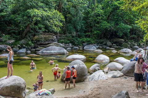 Cape Tribulation, Mossman Gorge, And Daintree Rainforest Day Trip From Cairns Or Port Douglas - Accommodation VIC 14