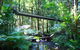 Cape Tribulation, Mossman Gorge, And Daintree Rainforest Day Trip From Cairns Or Port Douglas - thumb 7