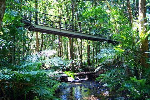 Cape Tribulation, Mossman Gorge, And Daintree Rainforest Day Trip From Cairns Or Port Douglas - Accommodation VIC 7