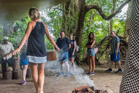 Cape Tribulation, Mossman Gorge, And Daintree Rainforest Day Trip From Cairns Or Port Douglas - Accommodation VIC 13