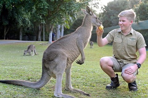 Small-Group Australia Zoo Day Trip From Brisbane - Accommodation VIC 6
