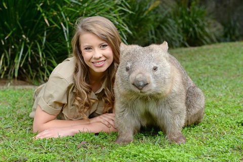 Small-Group Australia Zoo Day Trip From Brisbane - Accommodation VIC 5