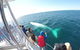 Half-Day Whale Watching And Canal Cruise From Surfers Paradise - thumb 6