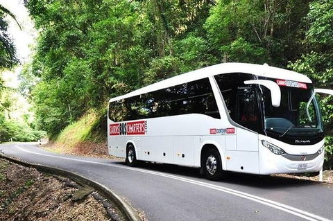 Palm Cove Departure Transfer - Palm Cove To Airport - Accommodation VIC 1