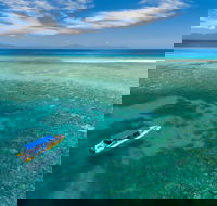 Ocean Safari Great Barrier Reef Experience in Cape Tribulation - Accommodation VIC