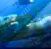 Scuba Dive the S.S. Yongala Wreck on the Great Barrier Reef. - Accommodation VIC