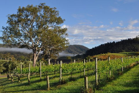 Full Day Mount Tamborine Winery Tour From Gold Coast - Accommodation VIC 15
