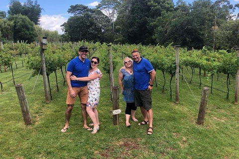 Full Day Mount Tamborine Winery Tour From Gold Coast - Accommodation VIC 6