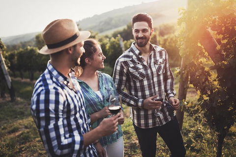 Full Day Mount Tamborine Winery Tour From Gold Coast - Accommodation VIC 13