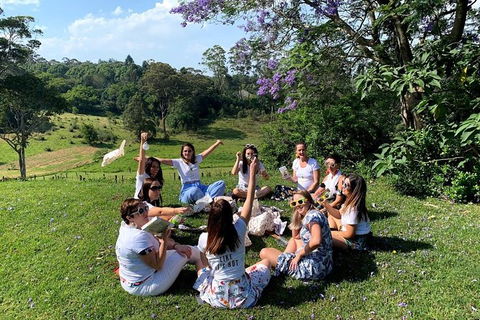 Full Day Mount Tamborine Winery Tour From Gold Coast - Accommodation VIC 11