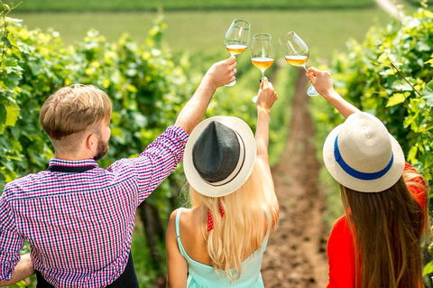 Full Day Mount Tamborine Winery Tour From Gold Coast - Accommodation VIC 14
