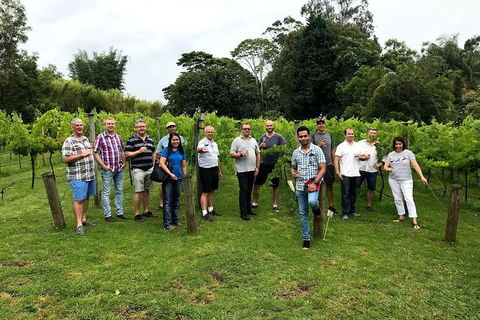 Full Day Mount Tamborine Winery Tour From Gold Coast - Accommodation VIC 7