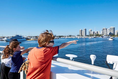 Lunch Buffet Cruise On The Gold Coast - Accommodation VIC 13