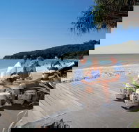 Noosa and Sunshine Coast Hinterland Day Trip from Brisbane - Accommodation VIC