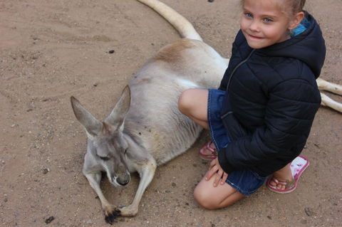 Gold Coast Attraction Pass Including Currumbin Wildlife Sanctuary And Paradise Jetboating - Accommodation VIC 3