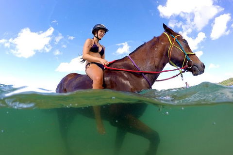 Horse Swimming Ride From Rainbow Beach - Accommodation VIC 1