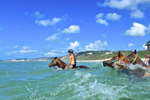 Horse Swimming Ride From Rainbow Beach - Accommodation VIC 0