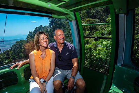 Skyrail Rainforest Cableway Day Trip From Palm Cove - Accommodation VIC 2