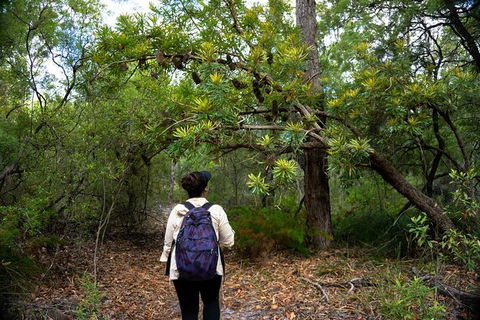 Pack-free Camping: Lake McKenzie Central Hike - 2 Days - Accommodation VIC 1