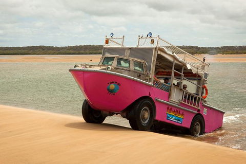 Town Of 1770 Afternoon Cruise - Accommodation VIC 1