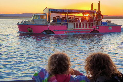 Town Of 1770 Afternoon Cruise - Accommodation VIC 2