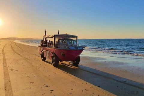 Town Of 1770 Afternoon Cruise - Accommodation VIC 6