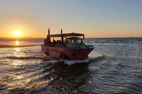 Town Of 1770 Afternoon Cruise - Accommodation VIC 7