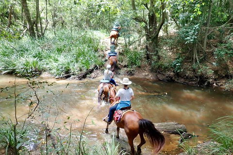 Country Day Ride From Mt Goomboorian With Rainbow Beach Horse Rides - Accommodation VIC 1